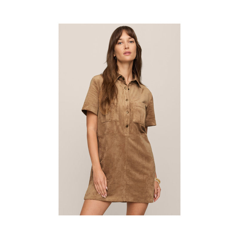 Leone Suede Dress